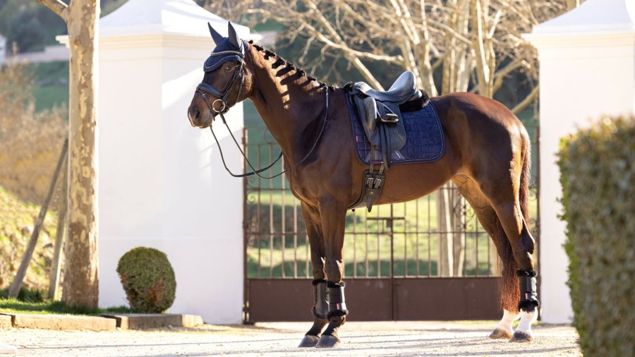 Saddle Pads LeMieux | Diamante Dressage Square Navy Large