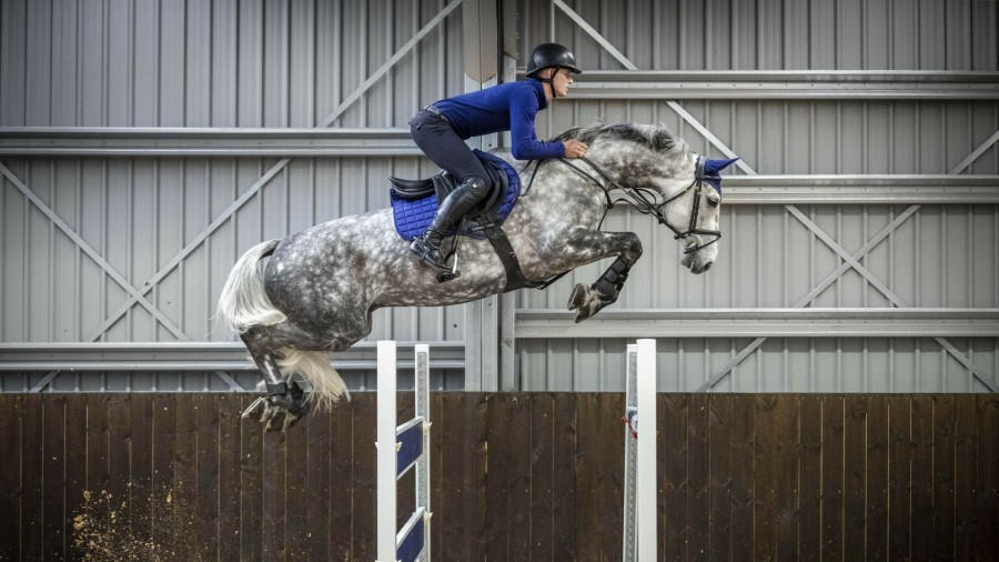 Saddle Pads LeMieux | Loire Classic Close Contact Square Ink Blue