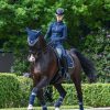 Horse LeMieux Loire Polo Bandages | Loire Polo Bandages Twilight Navy