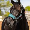 Horse LeMieux Vogue Headcollars | Vogue Headcollar & Leadrope Peacock