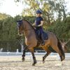 Saddle Pads LeMieux | Self-Cool Dressage Square Navy Large