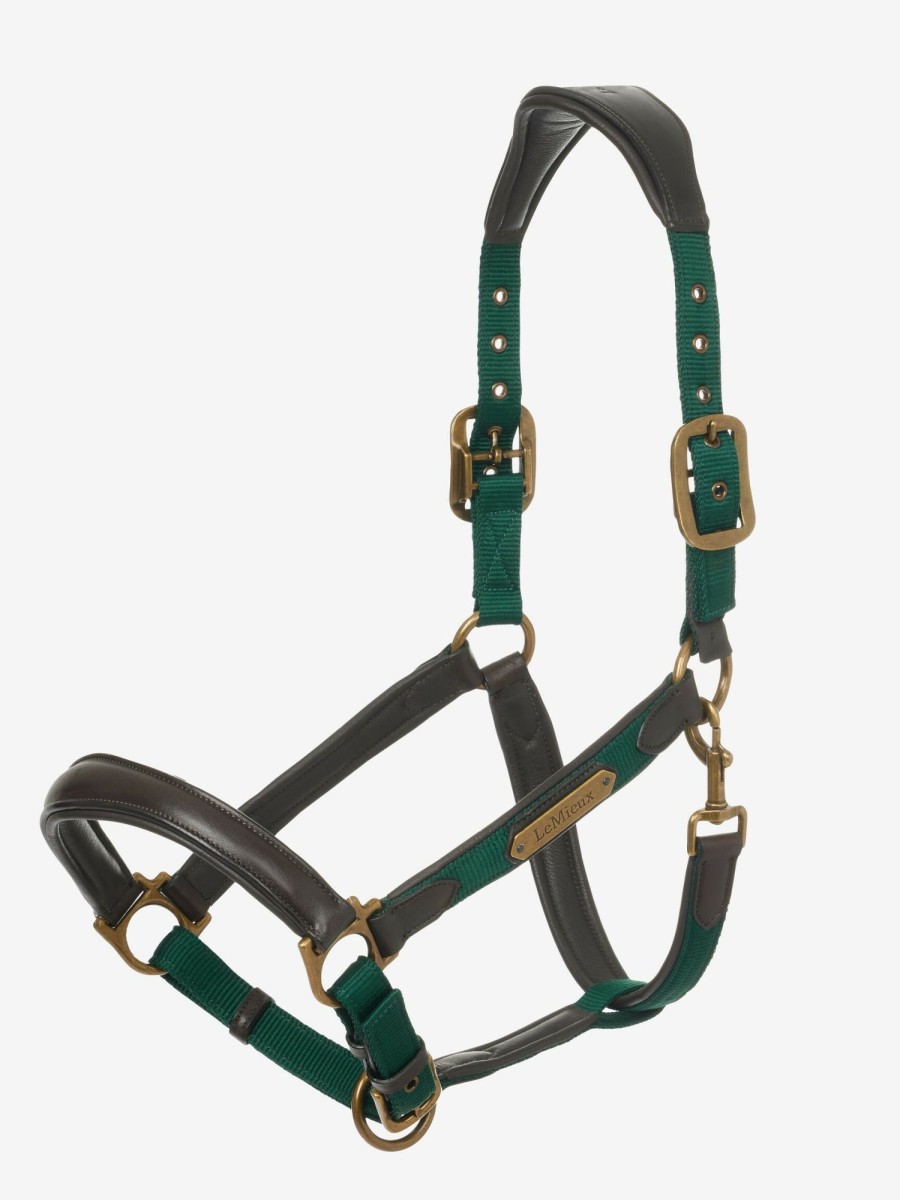 Horse LeMieux Leather Headcollars | Capella Headcollar Spruce