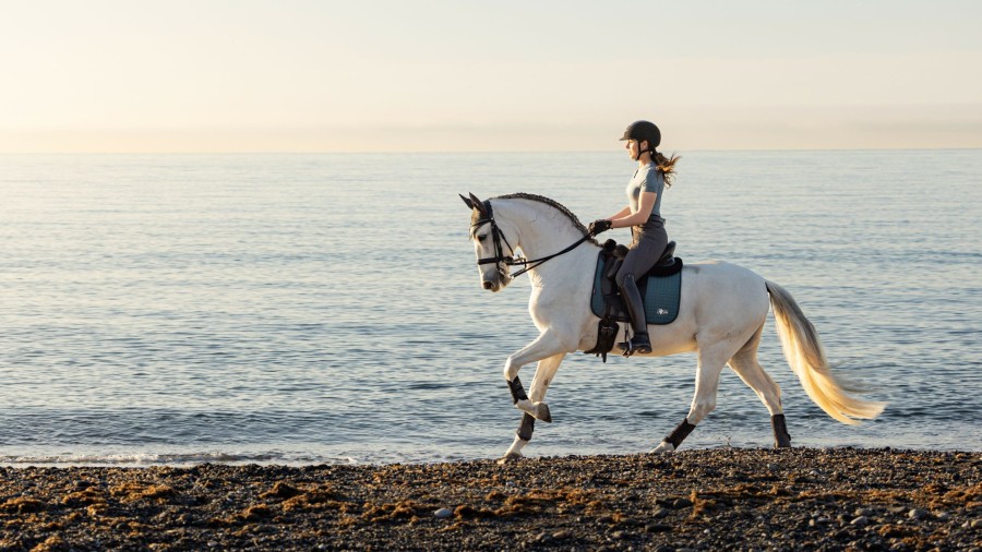 Saddle Pads LeMieux | Earth Dressage Square Ocean Large