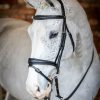 Horse LeMieux Bridles | Kudos Competition Flash Bridle Black