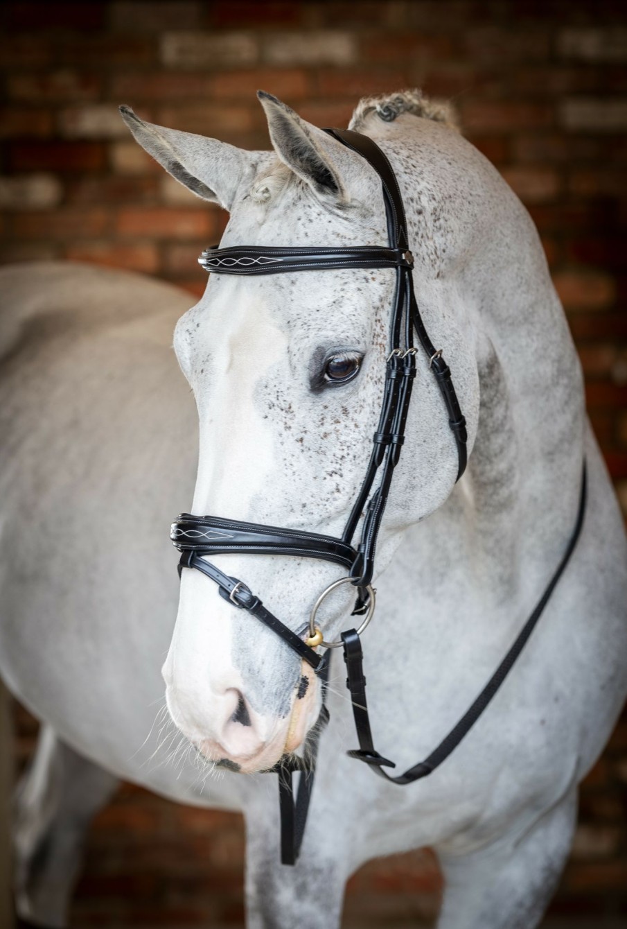 Horse LeMieux Bridles | Kudos Competition Flash Bridle Black