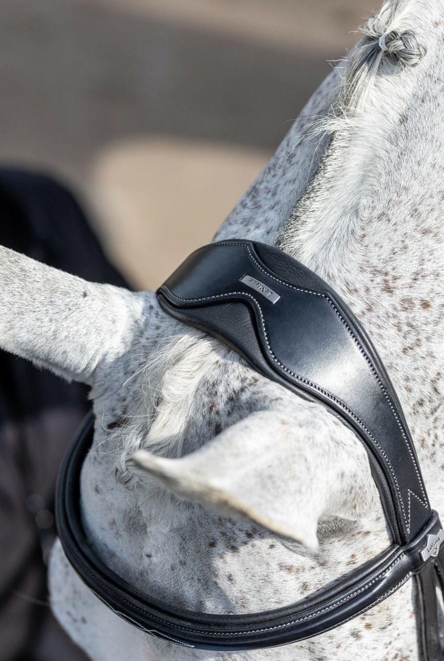 Horse LeMieux Bridles | Kudos Competition Flash Bridle Black