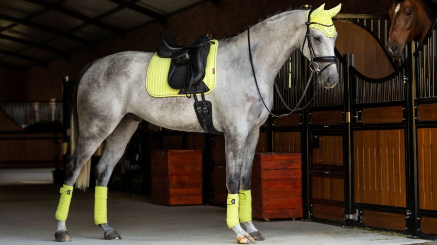 Saddle Pads LeMieux | Suede Dressage Square Kiwi