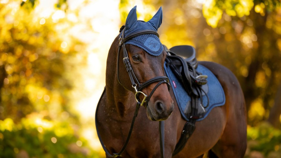 Horse LeMieux Classic Fly Hoods | Classic Fly Hood Atlantic