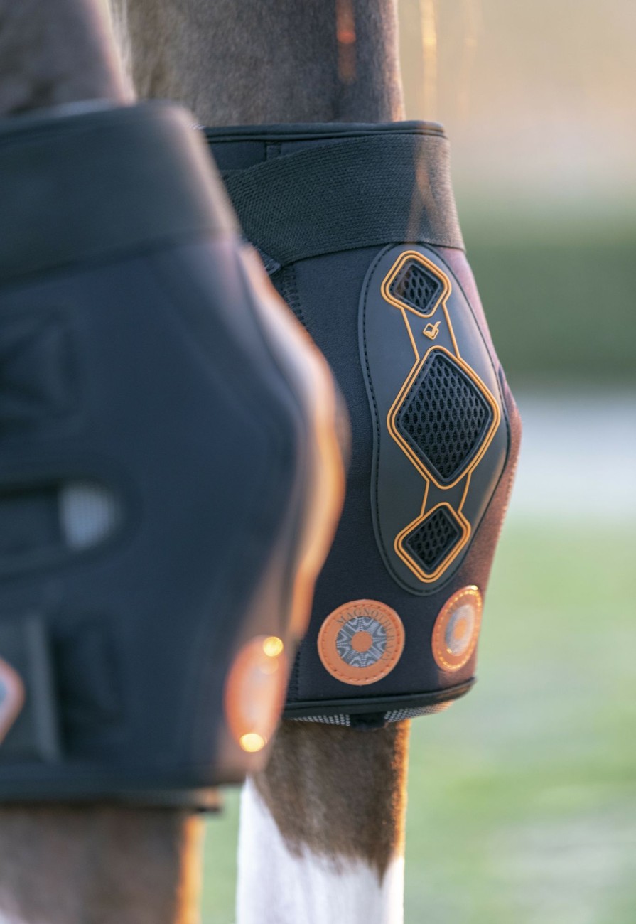 Horse LeMieux Therapy Boots | Conductive Magno Hock Boots