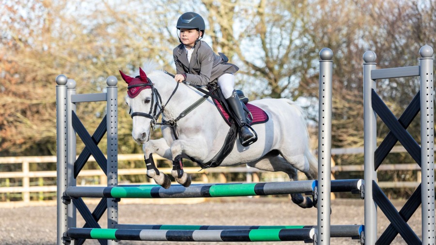 Saddle Pads LeMieux | Junior Pro Gp/Jump Square Burgundy Small