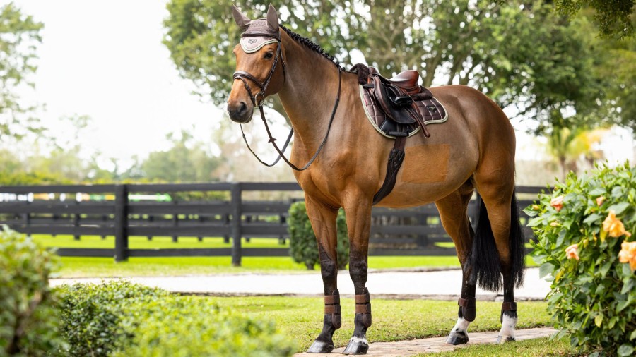 Saddle Pads LeMieux | Merino Loire Classic Gp Square Walnut