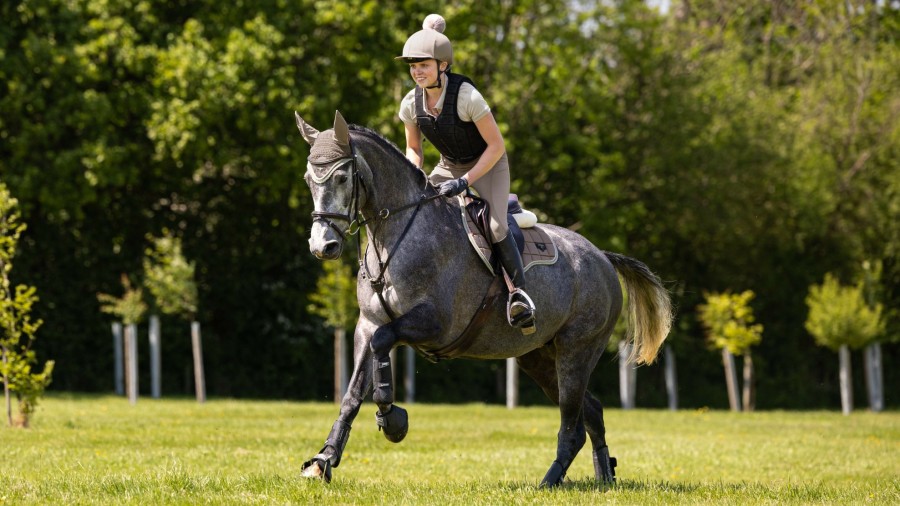 Saddle Pads LeMieux | Loire Classic Gp Square Walnut