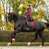 Saddle Pads LeMieux | Crystal Suede Dressage Pad Burgundy