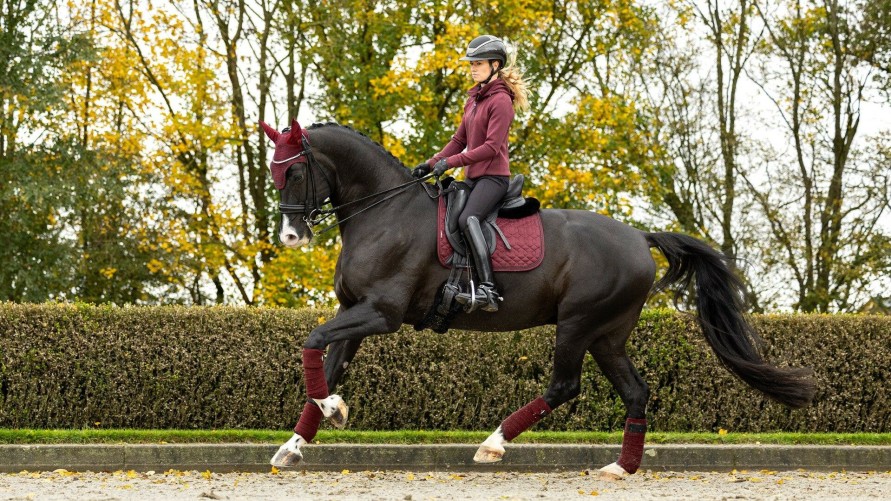 Saddle Pads LeMieux | Crystal Suede Dressage Pad Burgundy