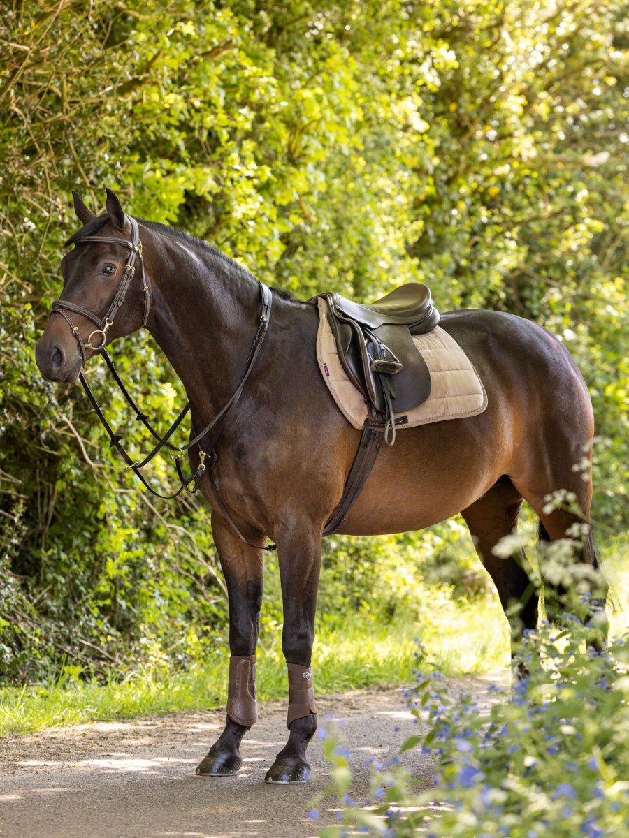 Saddle Pads LeMieux | Gp Work Pad Mink