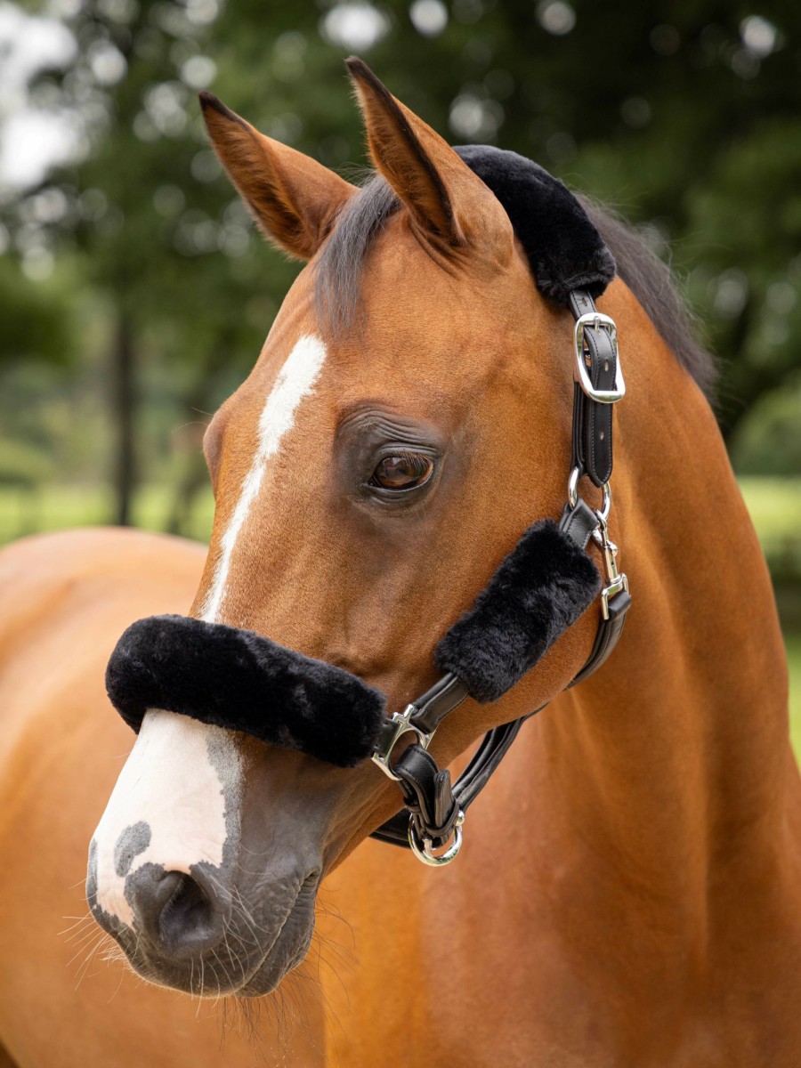 Horse LeMieux Leadropes | Simuwool Headcollar Set Black One Size