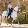 Saddle Pads LeMieux | Self-Cool Dressage Square Spearmint Large