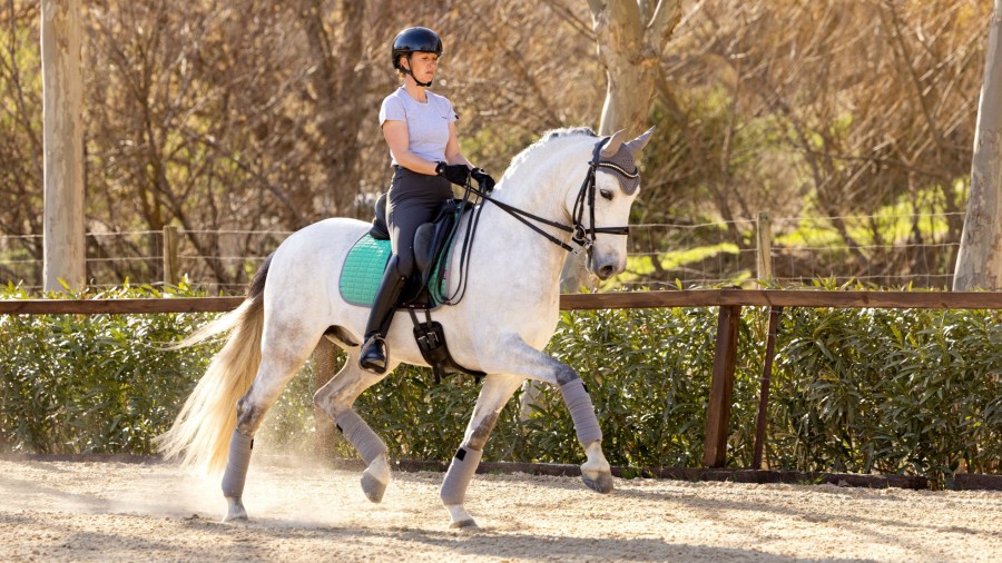 Saddle Pads LeMieux | Self-Cool Dressage Square Spearmint Large