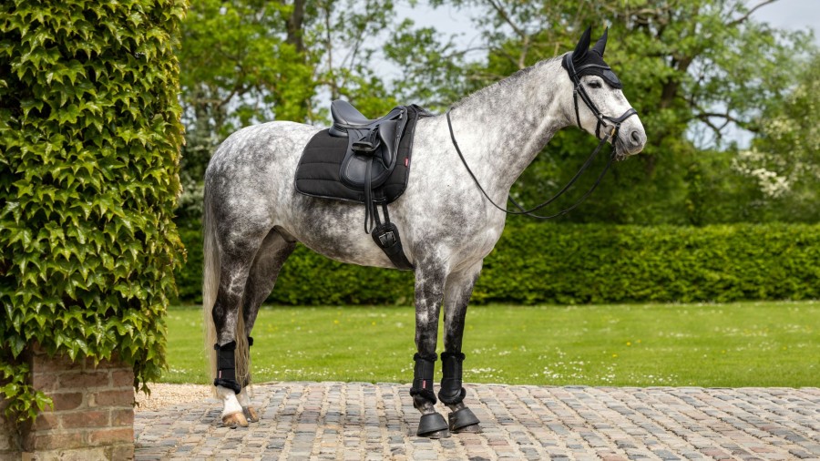 Saddle Pads LeMieux | Dressage Work Pad Black Large