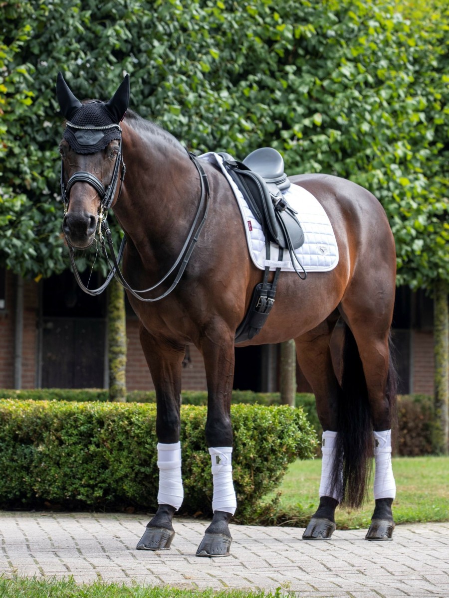 Saddle Pads LeMieux | Loire Classic Dressage Square White