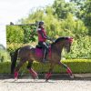 Saddle Pads LeMieux | Loire Classic Dressage Square Mulberry