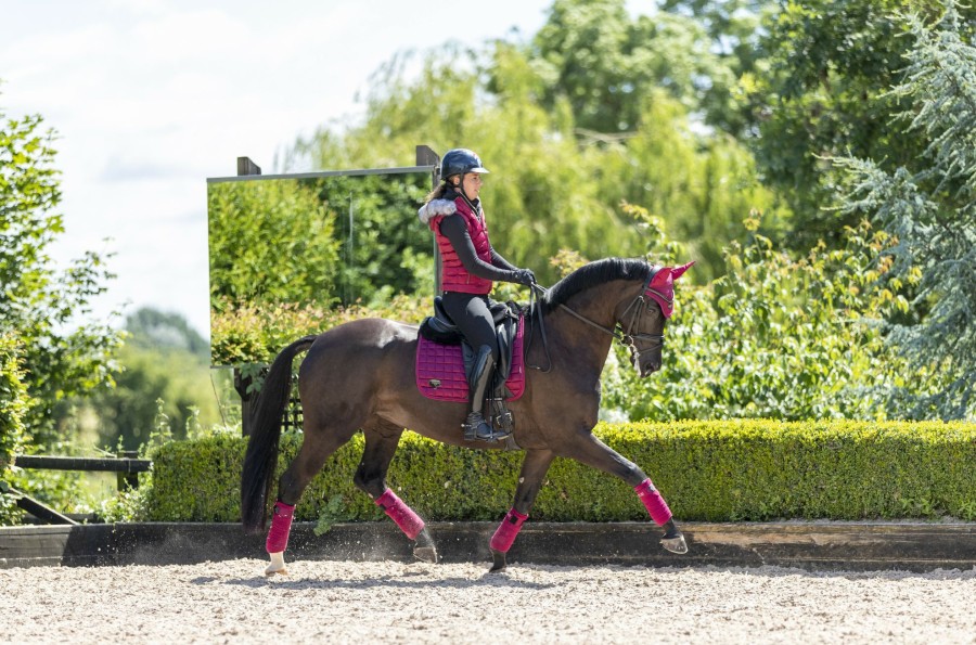 Saddle Pads LeMieux | Loire Classic Dressage Square Mulberry