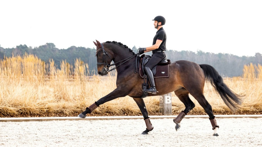 Saddle Pads LeMieux | Puissance Suede Dressage Square Brown