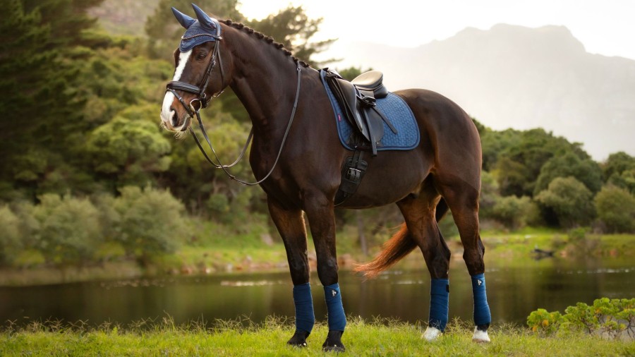 Saddle Pads LeMieux | Suede Dressage Square Atlantic