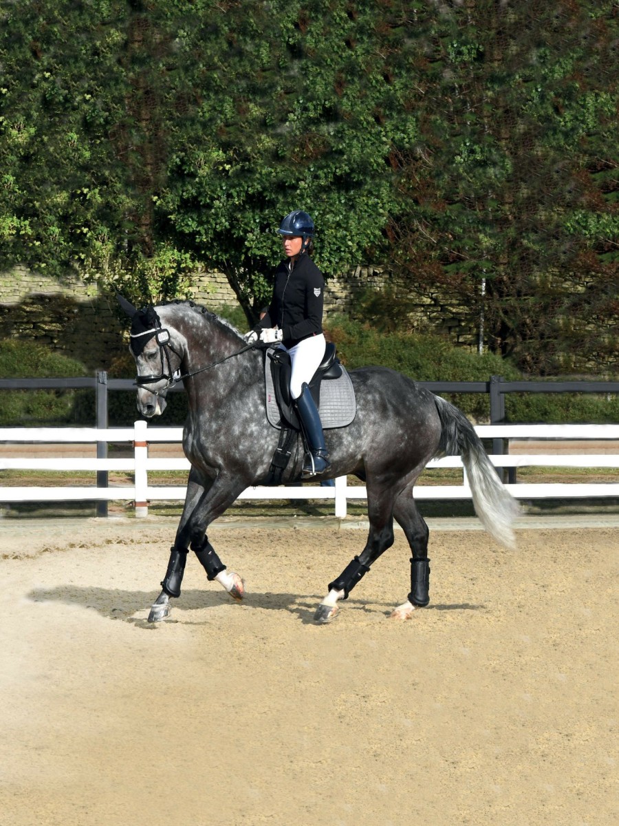 Saddle Pads LeMieux | Sensitive Dressage Square Grey Large