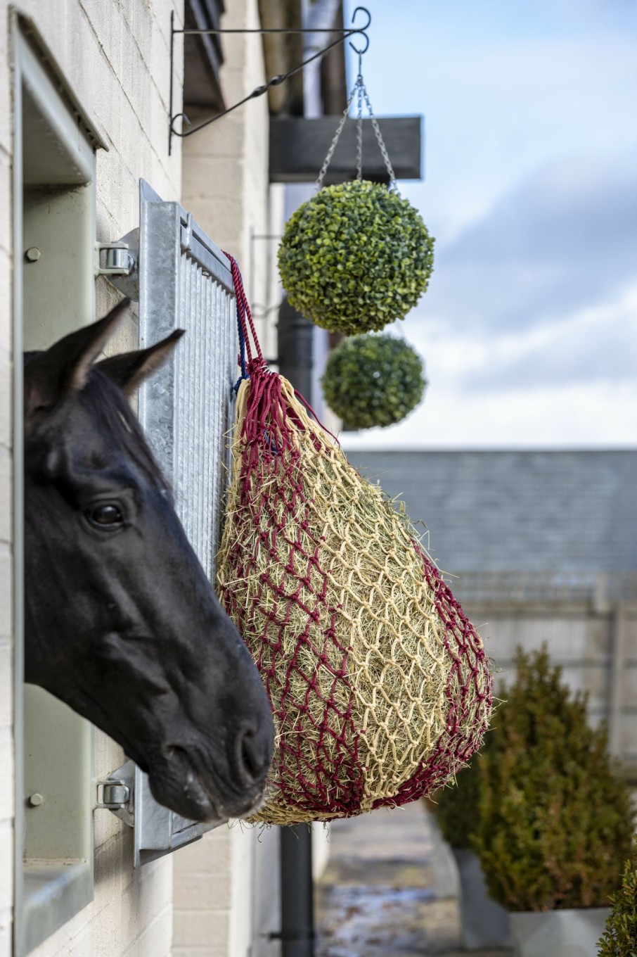 Horse LeMieux Showing & Plaiting | Hippo Haynet Burgundy One Size