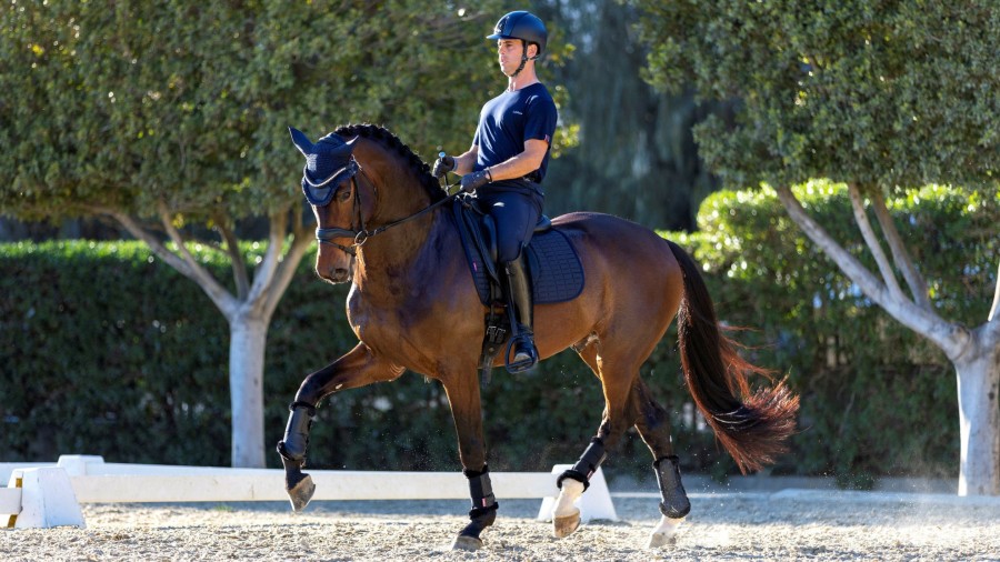 Saddle Pads LeMieux | Le Cool Grip Dressage Pad Navy One Size