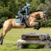 Horse LeMieux XC Boots | Carbon Air Xc Hind Boots