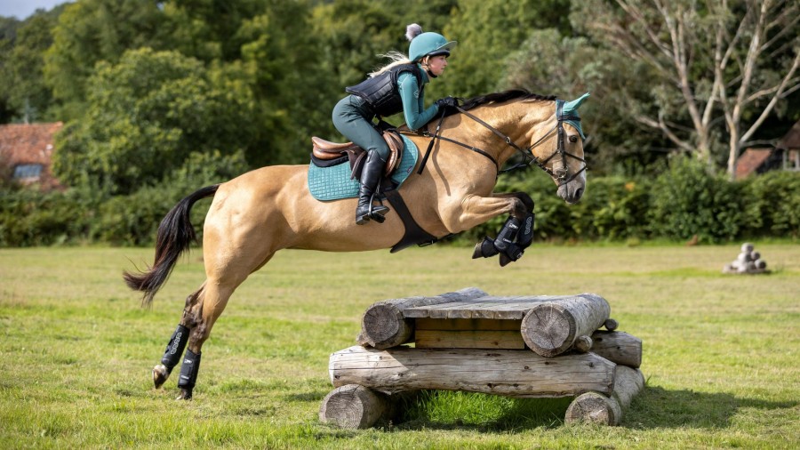 Horse LeMieux XC Boots | Carbon Air Xc Hind Boots