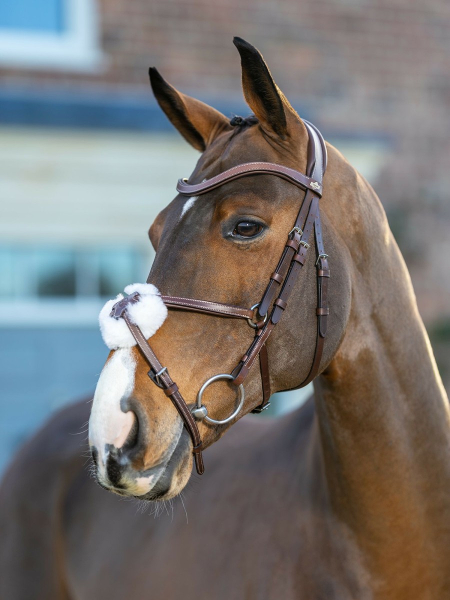 Horse LeMieux Bridles | Arika Grackle Bridle Havana/Silver