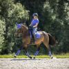 Saddle Pads LeMieux | Suede Dressage Square Bluebell