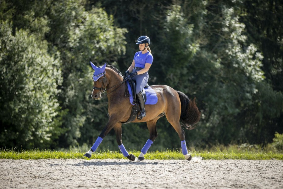 Saddle Pads LeMieux | Suede Dressage Square Bluebell