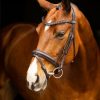 Horse LeMieux Bridles | Arika Dressage Bridle Brown/Silver