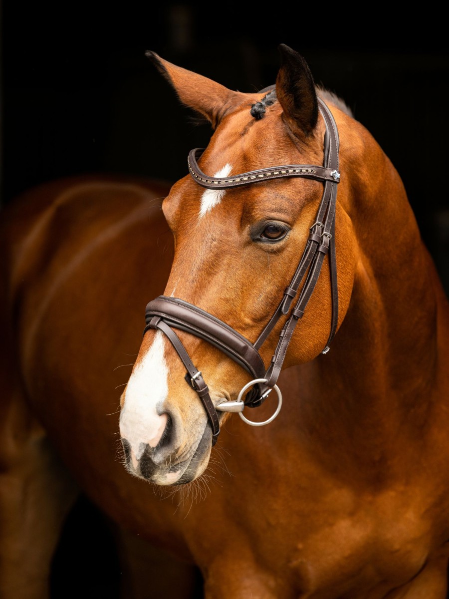 Horse LeMieux Bridles | Arika Dressage Bridle Brown/Silver