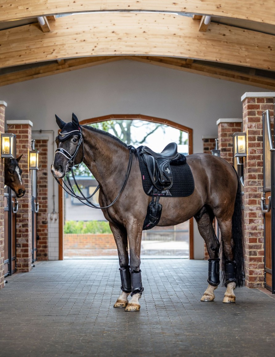 Saddle Pads LeMieux | Suede Dressage Square Black