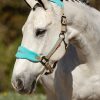 Horse LeMieux Vogue Headcollars | Vogue Headcollar & Leadrope Azure