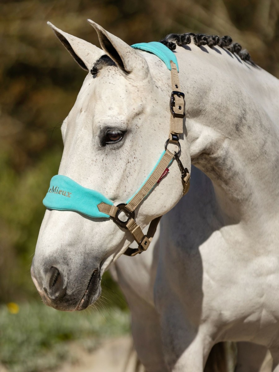 Horse LeMieux Vogue Headcollars | Vogue Headcollar & Leadrope Azure