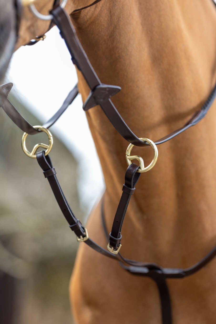 Horse LeMieux Martingales & Breastplates | Running Martingale Havana/Brass