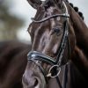 Horse LeMieux Bridles | Kudos Classic Dressage Bridle Black