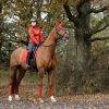 Saddle Pads LeMieux | Loire Classic Dressage Square Sienna