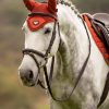 Horse LeMieux Loire Fly Hoods | Loire Fly Hood Sienna