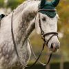 Horse LeMieux Classic Fly Hoods | Classic Fly Hood Spruce