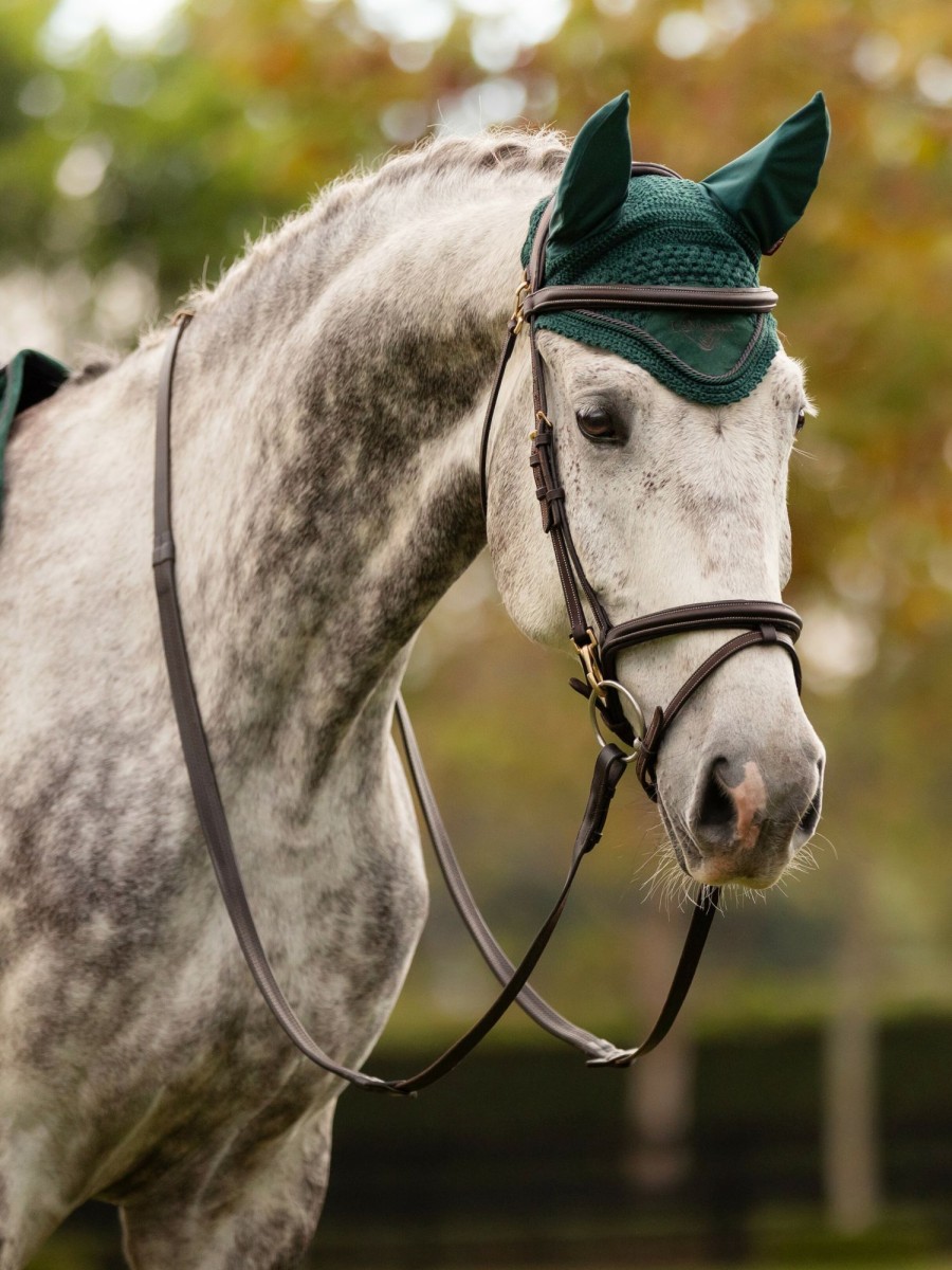 Horse LeMieux Classic Fly Hoods | Classic Fly Hood Spruce