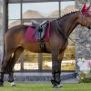 Saddle Pads LeMieux | Cotton Dressage Square Burgundy