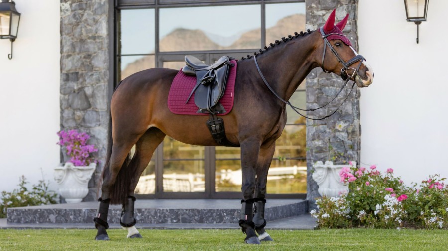 Saddle Pads LeMieux | Cotton Dressage Square Burgundy