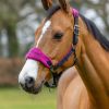 Horse LeMieux Vogue Headcollars | Vogue Headcollar & Leadrope Plum